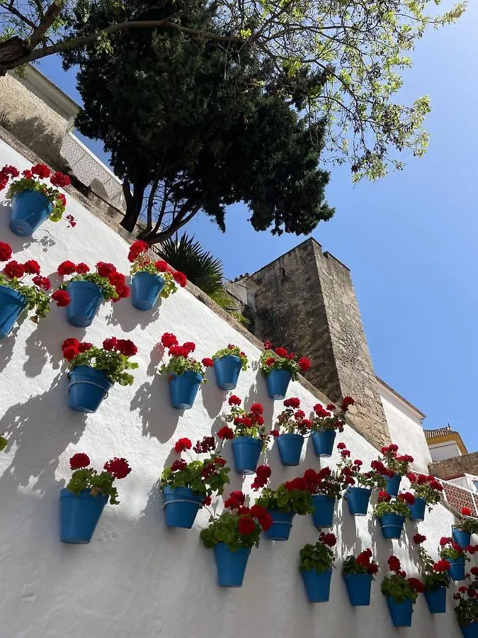 Mare Apartments Marbella Spanien